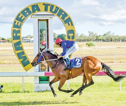 Mareeba Cup winner Lord of Light is aiming to add another Cup to trainer Ricky LudwigÃ¢â‚¬â„¢s collection this Saturday.