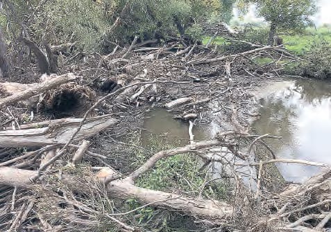 The Cudgewa Creek has been affected by the bushfires and heavy rains