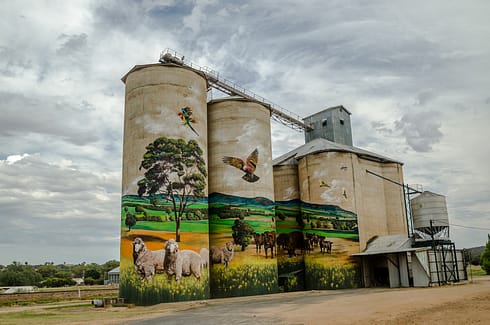Silo art at Grenfell
