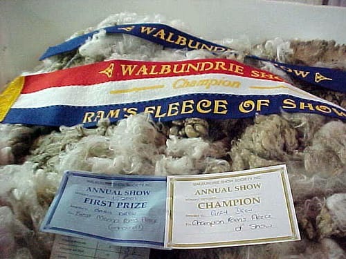 Walbundrie Show