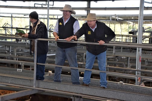 Auctioneers