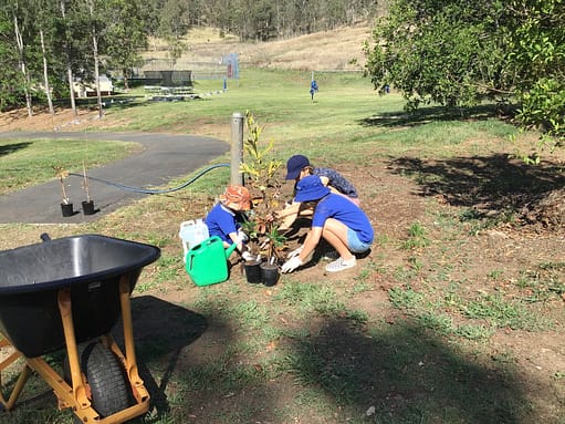 Children tree planting