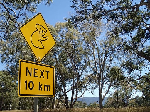 Koala sign