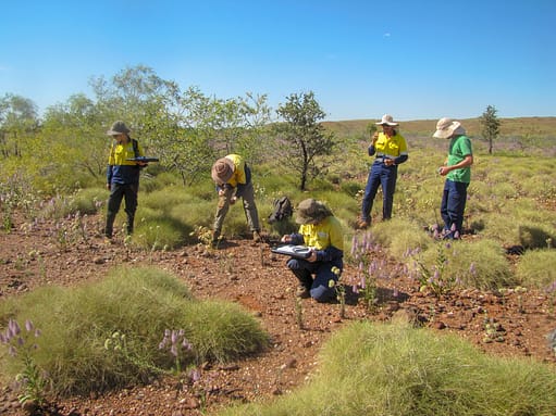 survey in the Pilbara