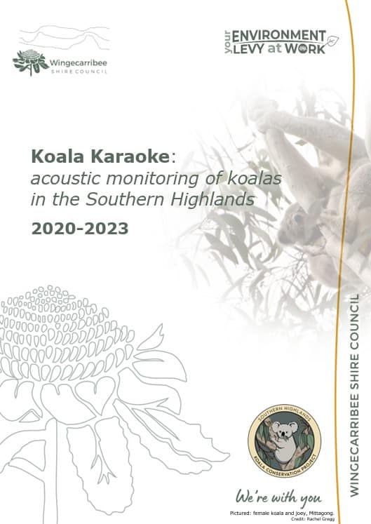koala