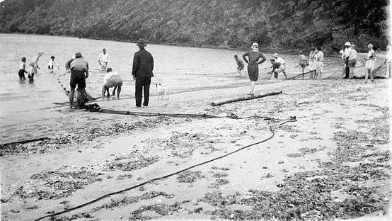 Communal fishing scene