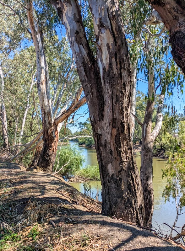 dreamstime_s_448703307 River country