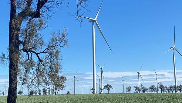 MurraWarraWindFarm_BulokeTreeBeanCrop