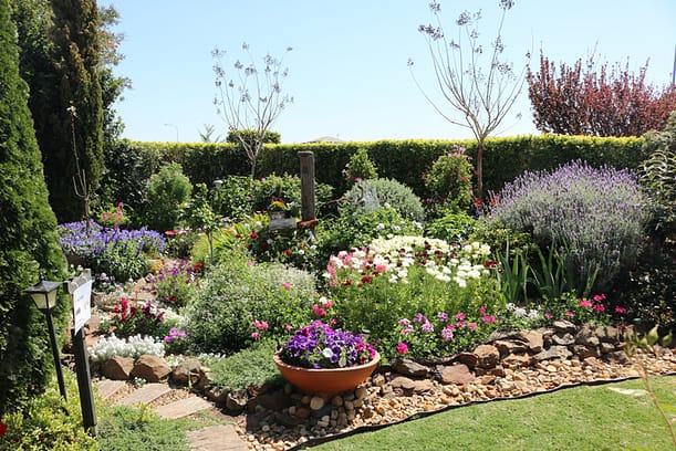 Wyreema garden