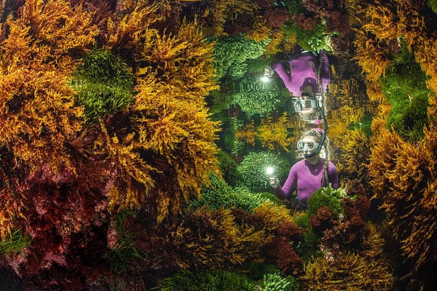 Rich Reflections by Justin Gilligan