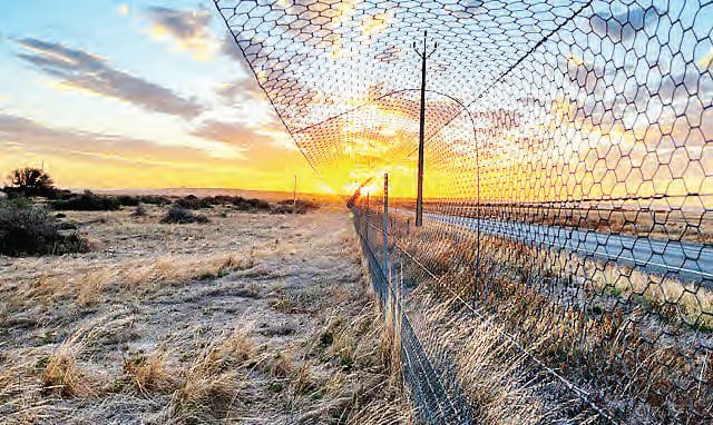 LAND... A cat-proof fence in a treeless section of Yorke Peninsula