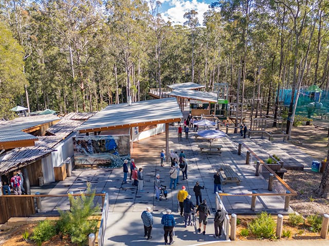 FCNSW-Guulabaa-July 2025-Forestry Corporation NSW-008