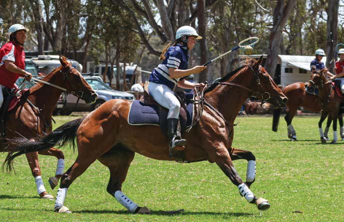 Tory Mueller in action on her Stockhorse mare - InStyle Kara. Pictures: Naracoorte Polocrosse Club/supplied.
