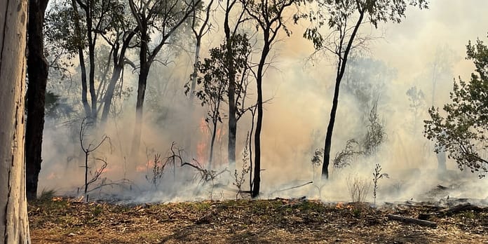 kings_park_experimental_burn_sally_treasure