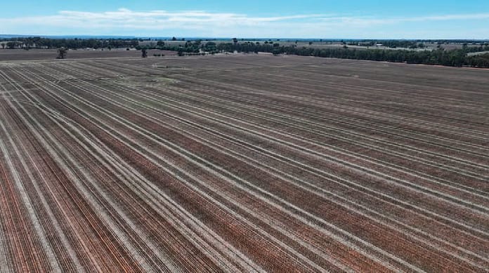 The two family farms are located in Boree Creek