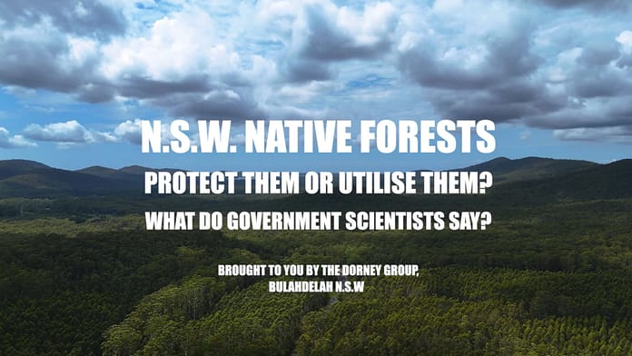 CoverDorneyGroupJan2025 NSW Native Forests Protect them or lose them cover shot