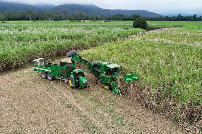 Harvesting6