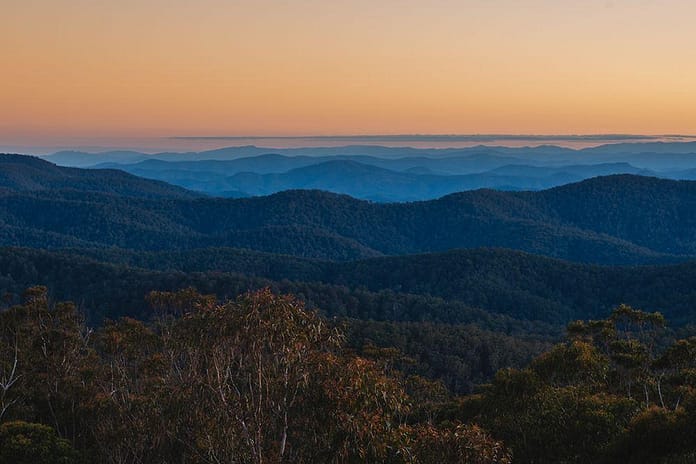 accu-erac-nsw-native-forest-method-news-tile