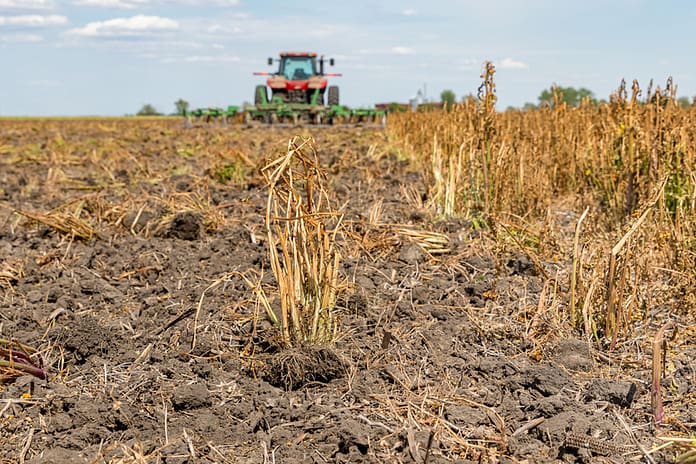 dreamstime_s_248160733 (1) Herbicide spraying