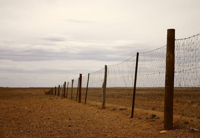 dreamstime_s_4612934 Dingo fence
