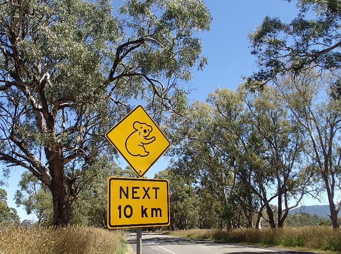 KoalaRoadSignVJ12.25 Koala road sign