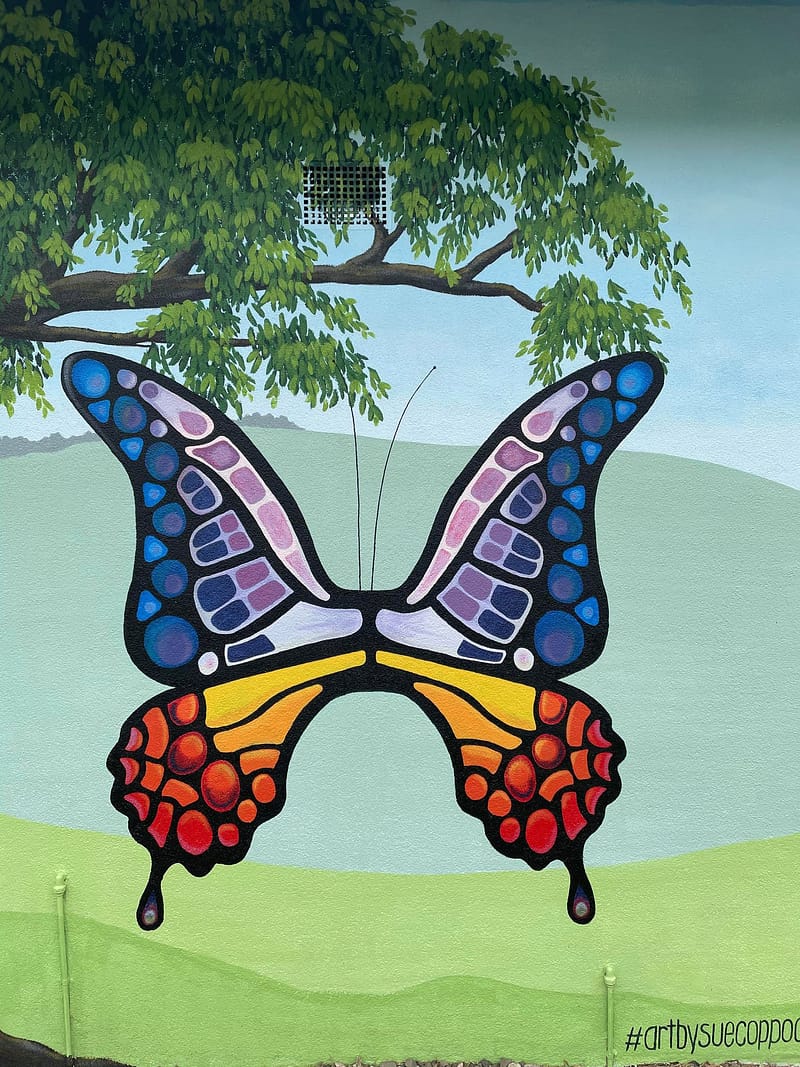 Sue Coppocks Butterfly