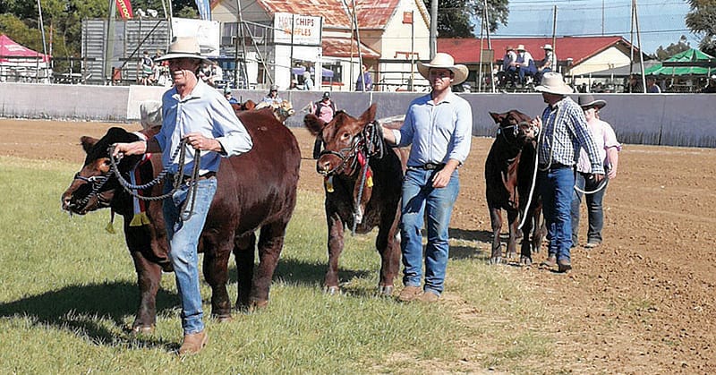 Grafton Show