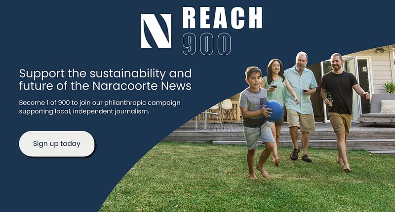 NNewsReach900Banner8.25 Naracoorte News Reach 900 banner