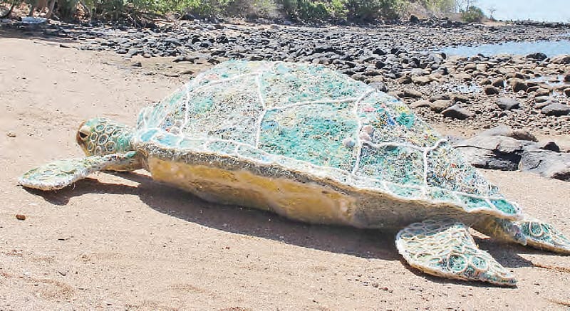 Erub Arts turtle sculpture