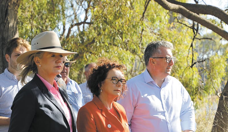 Pollies on tour
