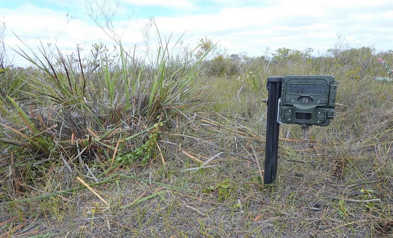 Camera trap