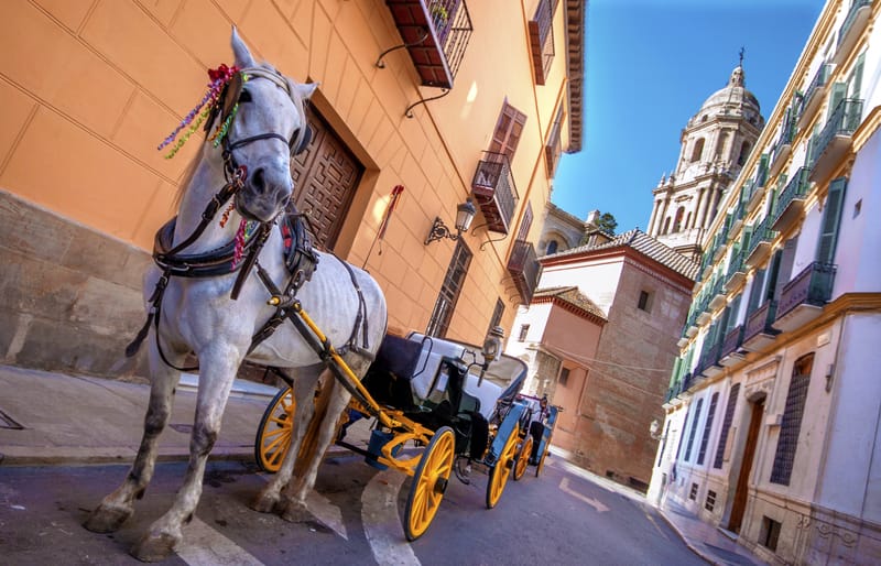 Carriage