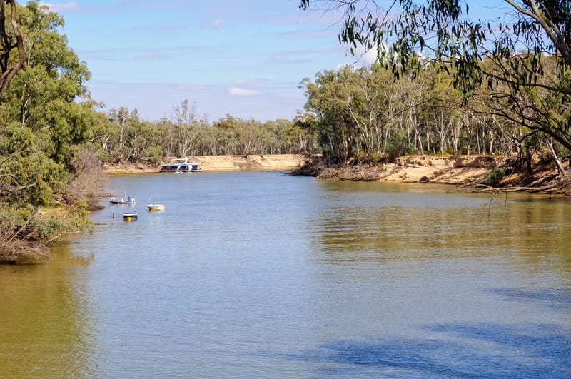 The Murray in the Barmah National Park