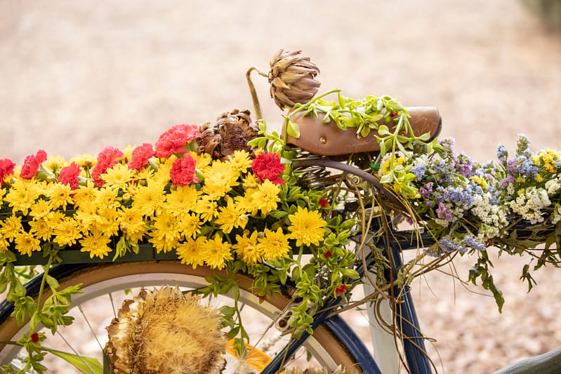 Ballarat Festivals