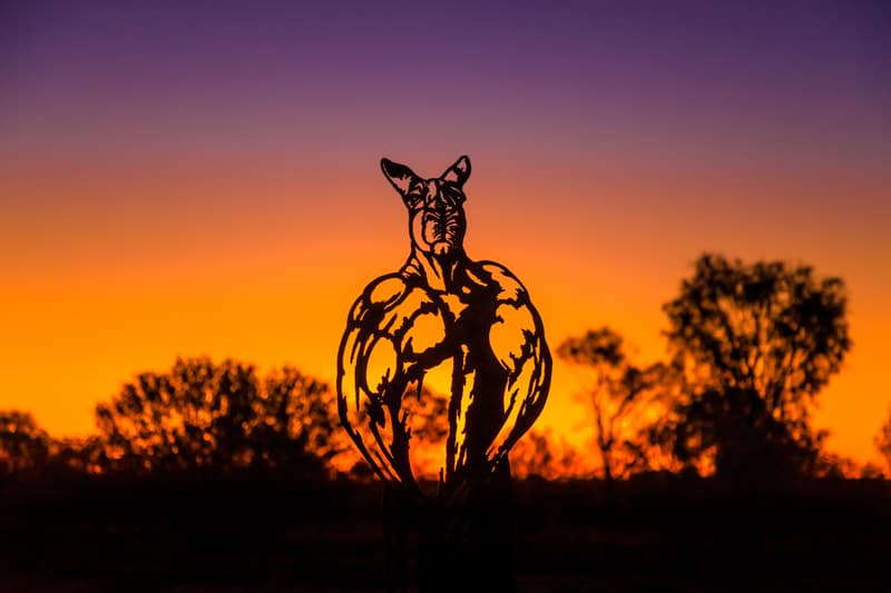 Roger the Kangaroo