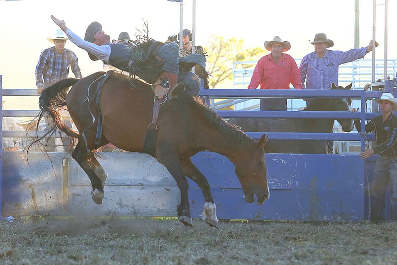 Bruce Green at Lawrence Rodeo