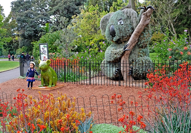 Koala sculpture