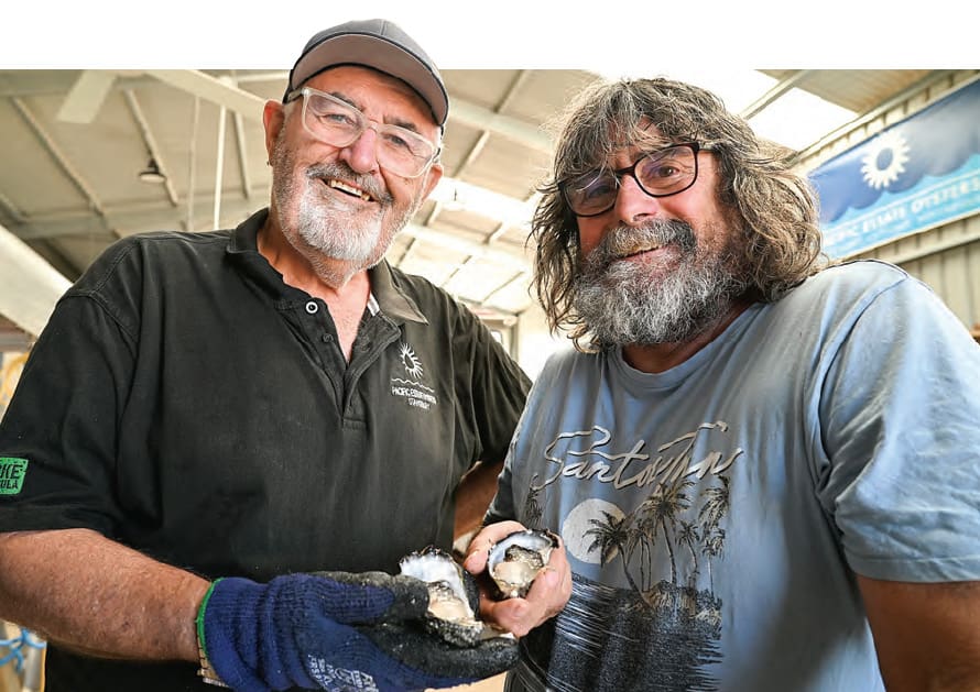 Oysters at Stansbury