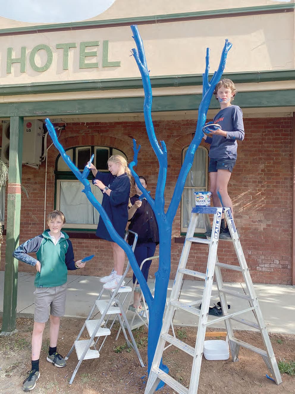 Support this project – one Blue Tree at a time | Australian Rural ...