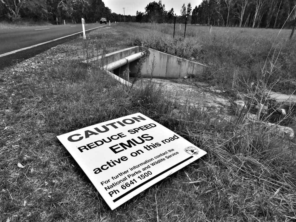 Emu signage down