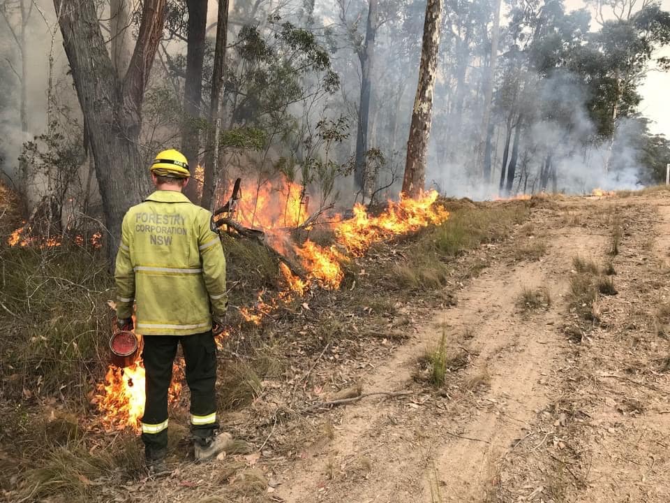 Hazard reduction burn