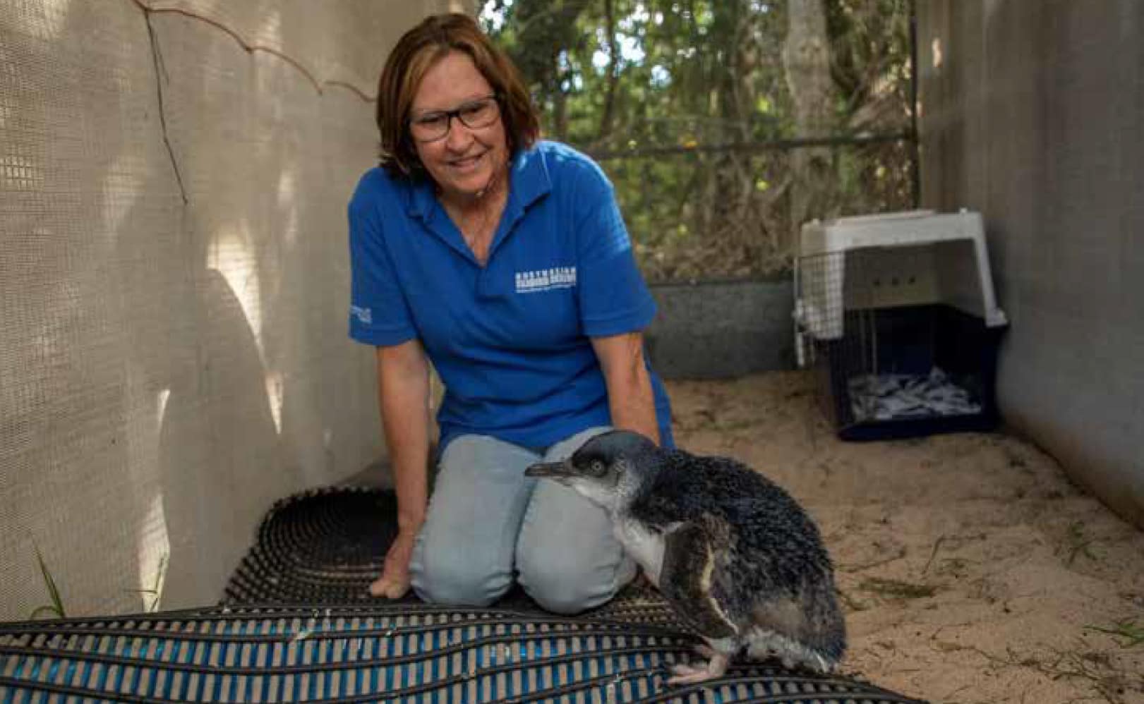 Deb Thompson and the Little Penguin