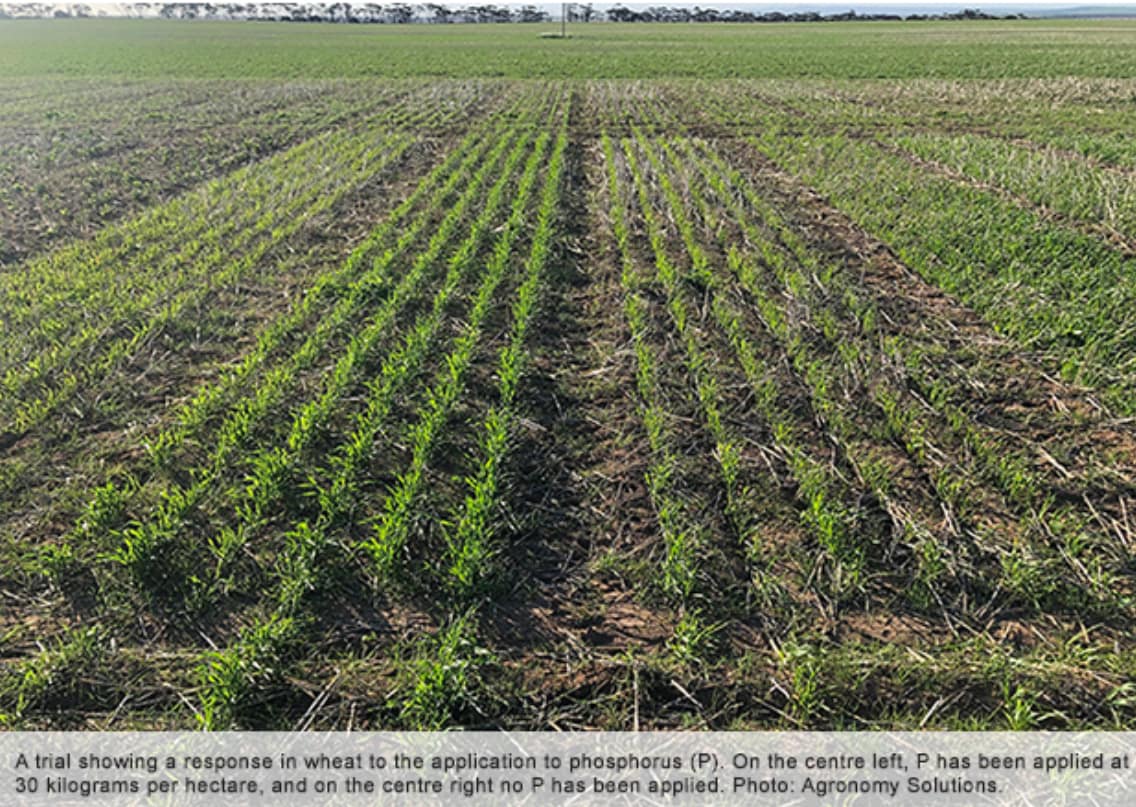 GRDC paddock zones