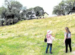 Looking at the Chauvel Homestead