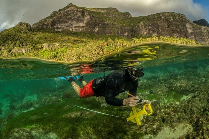 UQ researcher at Lord Howe Island