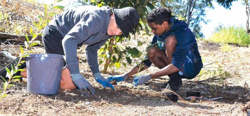Planting