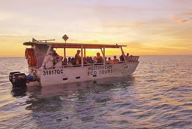 Western Cape Eco Tours