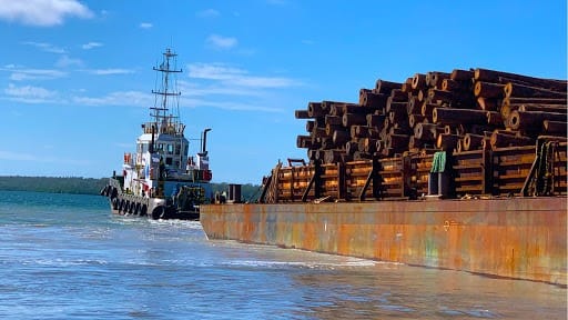 Wik Timber