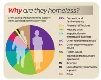 Why are they homeless graph