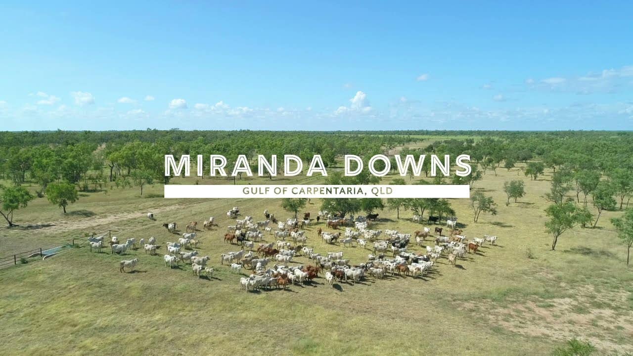 Miranda Downs